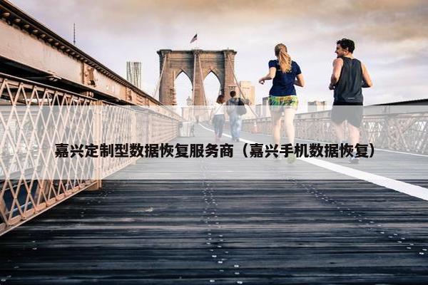 嘉兴定制型数据恢复服务商（嘉兴手机数据恢复）