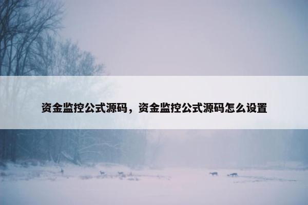 资金监控公式源码，资金监控公式源码怎么设置