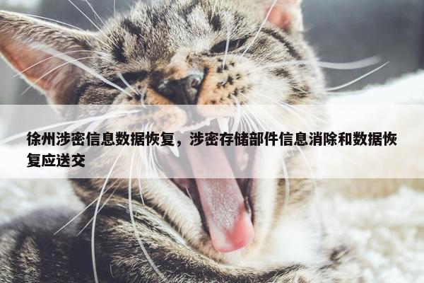 徐州涉密信息数据恢复，涉密存储部件信息消除和数据恢复应送交
