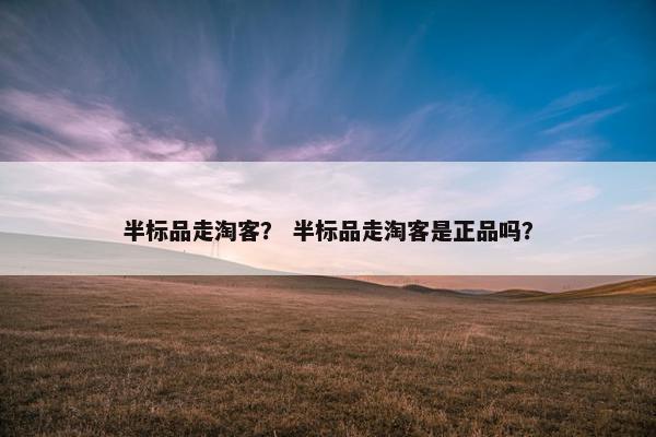 半标品走淘客？ 半标品走淘客是正品吗？