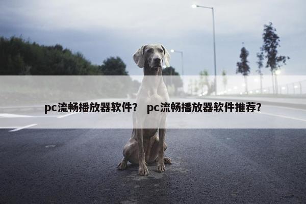 pc流畅播放器软件？ pc流畅播放器软件推荐？