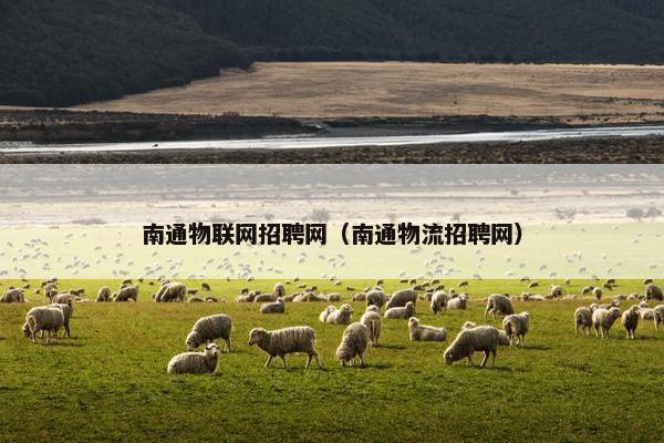 南通物联网招聘网（南通物流招聘网）