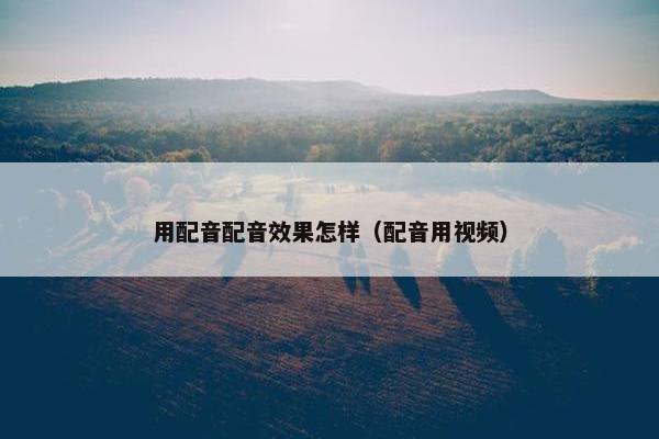 用配音配音效果怎样（配音用视频）