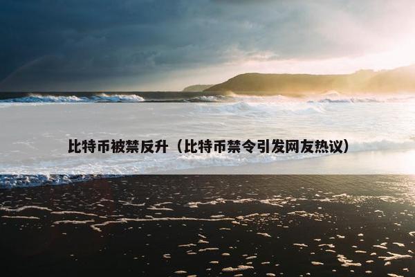 比特币被禁反升（比特币禁令引发网友热议）