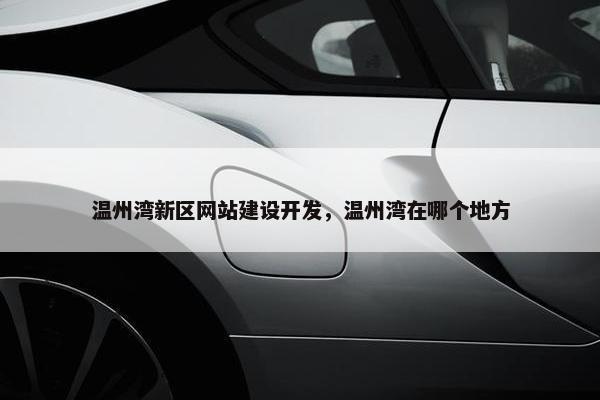 温州湾新区网站建设开发，温州湾在哪个地方
