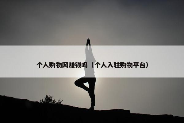 个人购物网赚钱吗（个人入驻购物平台）