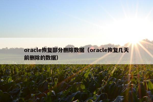 oracle恢复部分删除数据（oracle恢复几天前删除的数据）