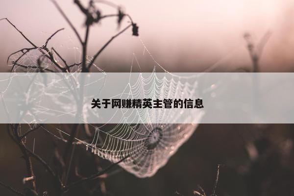 关于网赚精英主管的信息
