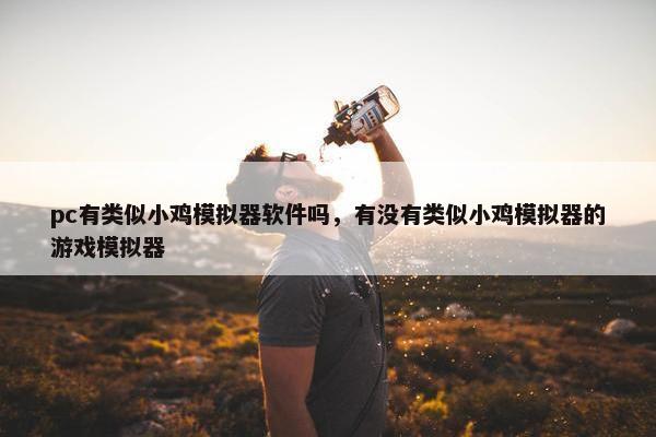 pc有类似小鸡模拟器软件吗，有没有类似小鸡模拟器的游戏模拟器