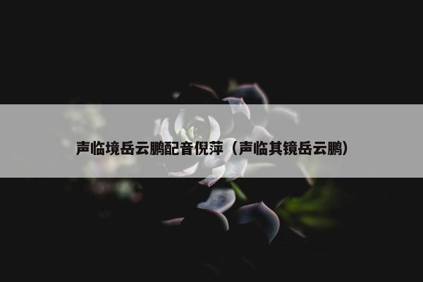 声临境岳云鹏配音倪萍（声临其镜岳云鹏）