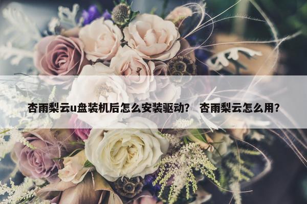 杏雨梨云u盘装机后怎么安装驱动？ 杏雨梨云怎么用？
