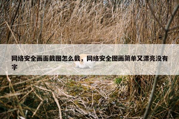 网络安全画面截图怎么截，网络安全图画简单又漂亮没有字