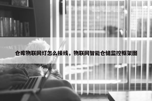 仓库物联网灯怎么接线，物联网智能仓储监控框架图
