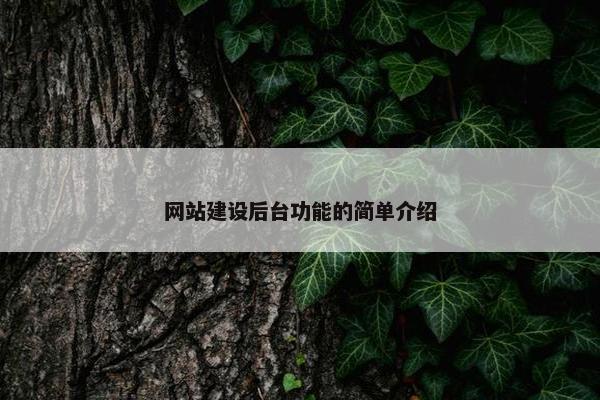 网站建设后台功能的简单介绍