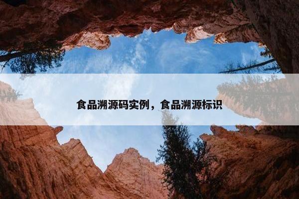 食品溯源码实例，食品溯源标识