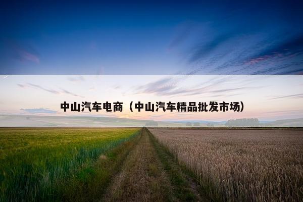 中山汽车电商（中山汽车精品批发市场）