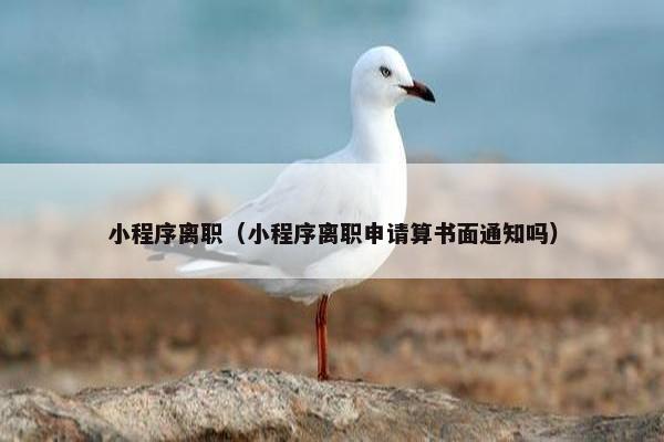 小程序离职（小程序离职申请算书面通知吗）