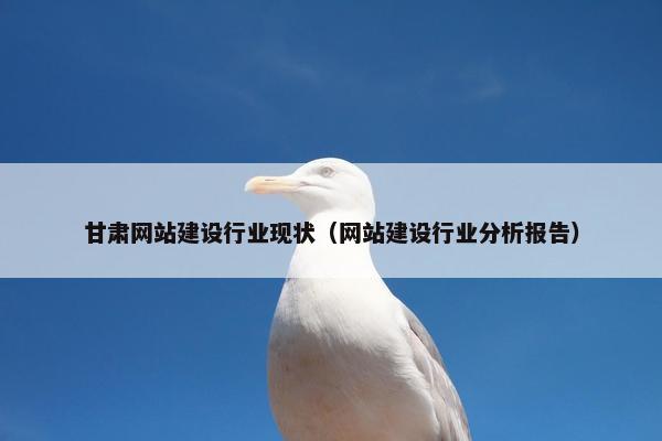 甘肃网站建设行业现状（网站建设行业分析报告）