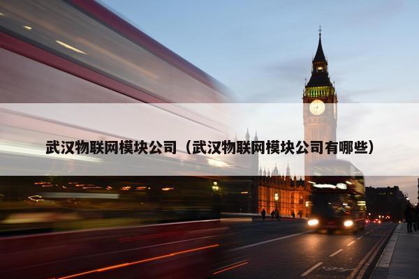 武汉物联网模块公司（武汉物联网模块公司有哪些）