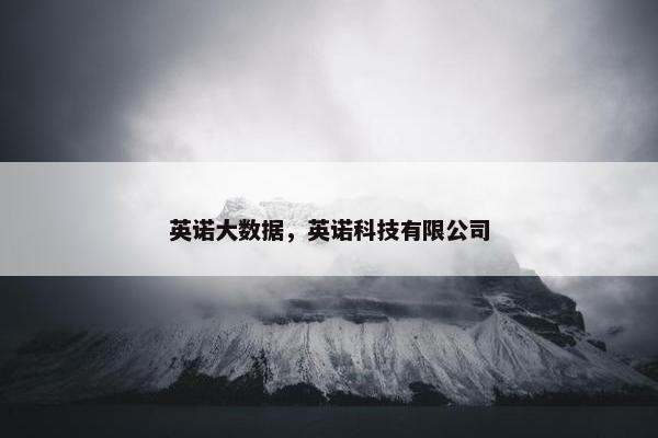英诺大数据，英诺科技有限公司