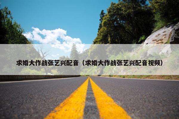 求婚大作战张艺兴配音（求婚大作战张艺兴配音视频）