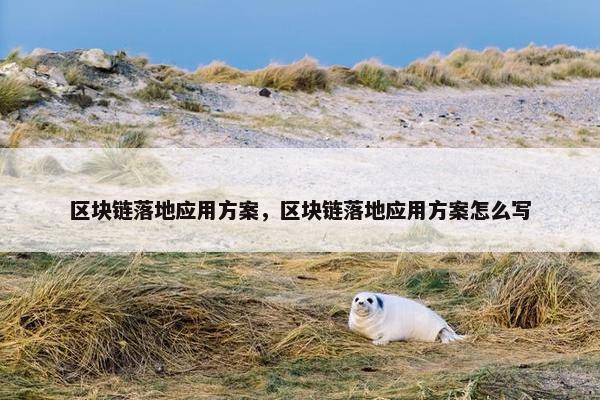 区块链落地应用方案，区块链落地应用方案怎么写