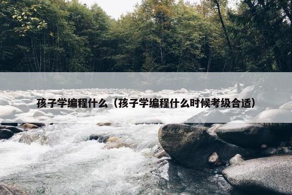 孩子学编程什么（孩子学编程什么时候考级合适）