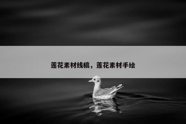 莲花素材线稿，莲花素材手绘