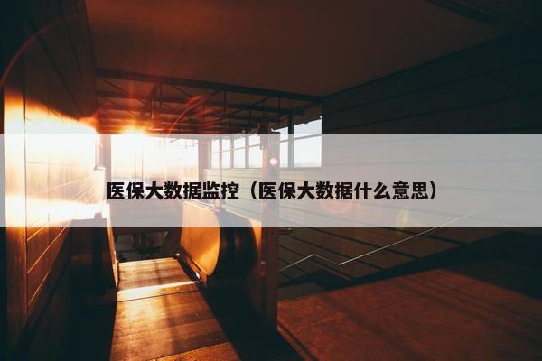 医保大数据监控（医保大数据什么意思）