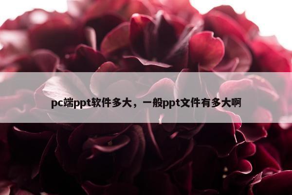 pc端ppt软件多大，一般ppt文件有多大啊