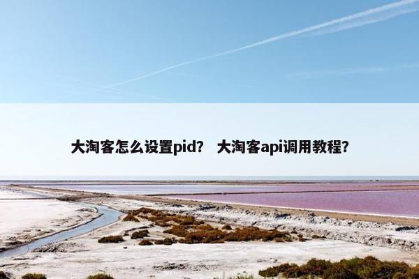 大淘客怎么设置pid？ 大淘客api调用教程？