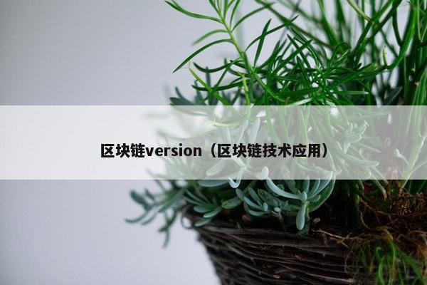 区块链version（区块链技术应用）
