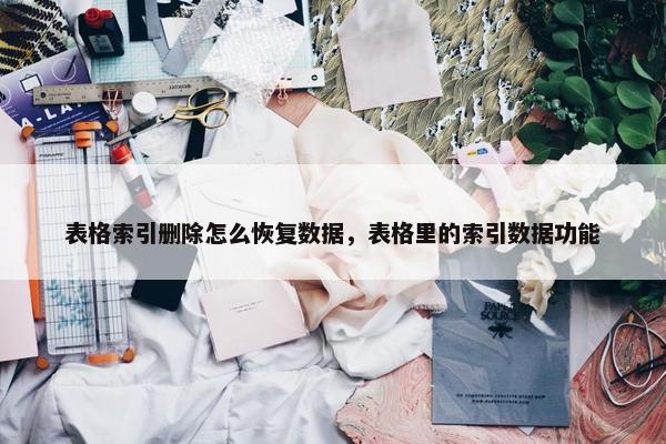 表格索引删除怎么恢复数据，表格里的索引数据功能