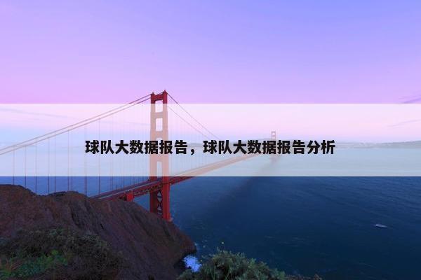 球队大数据报告，球队大数据报告分析