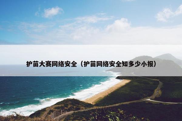 护苗大赛网络安全（护苗网络安全知多少小报）