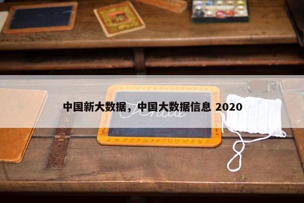 中国新大数据，中国大数据信息 2020
