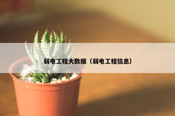 弱电工程大数据（弱电工程信息）