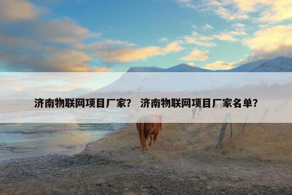 济南物联网项目厂家？ 济南物联网项目厂家名单？