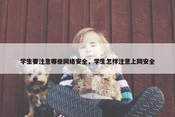 学生要注意哪些网络安全，学生怎样注意上网安全