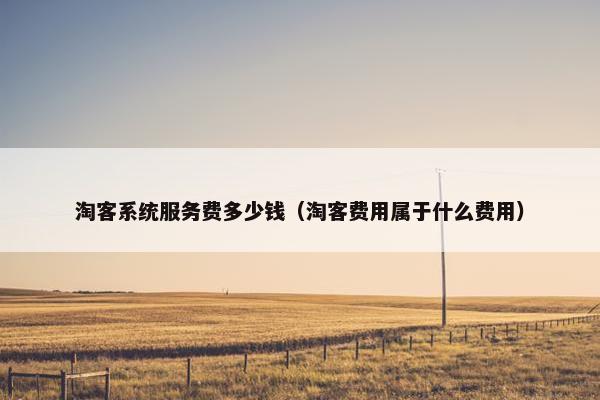 淘客系统服务费多少钱（淘客费用属于什么费用）