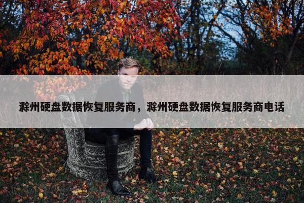 滁州硬盘数据恢复服务商，滁州硬盘数据恢复服务商电话