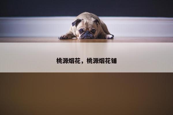 桃源烟花，桃源烟花铺