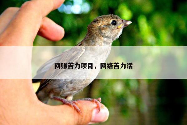 网赚苦力项目，网络苦力活