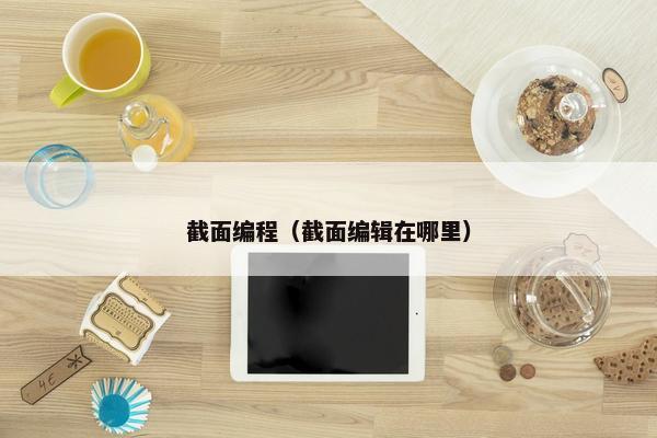 截面编程（截面编辑在哪里）