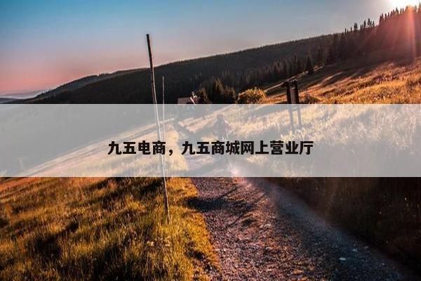 九五电商，九五商城网上营业厅