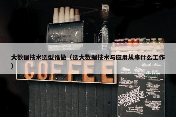 大数据技术选型谁做（选大数据技术与应用从事什么工作）