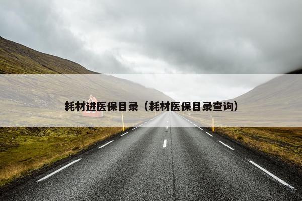 耗材进医保目录（耗材医保目录查询）