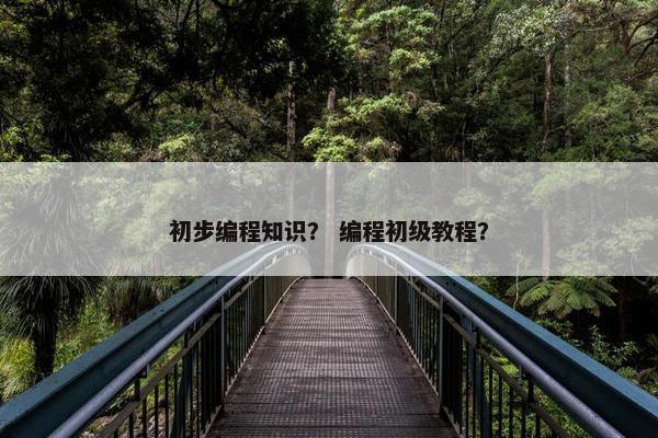 初步编程知识？ 编程初级教程？