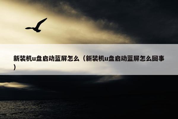 新装机u盘启动蓝屏怎么（新装机u盘启动蓝屏怎么回事）