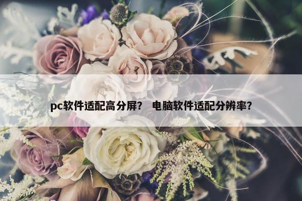pc软件适配高分屏？ 电脑软件适配分辨率？